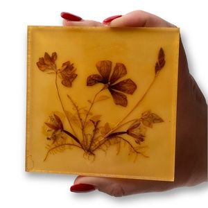 Vintage Pressed Floral Resin Square Trinket Natural Dried Flowers Germany